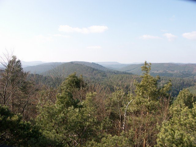 web_PICT0008.JPG