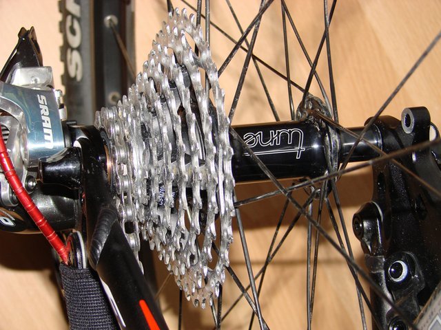 DSC019981.JPG
