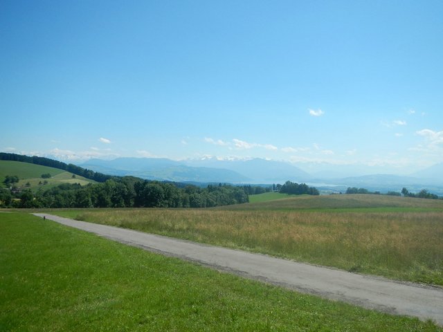 7399805488_769703ac47_b.jpg