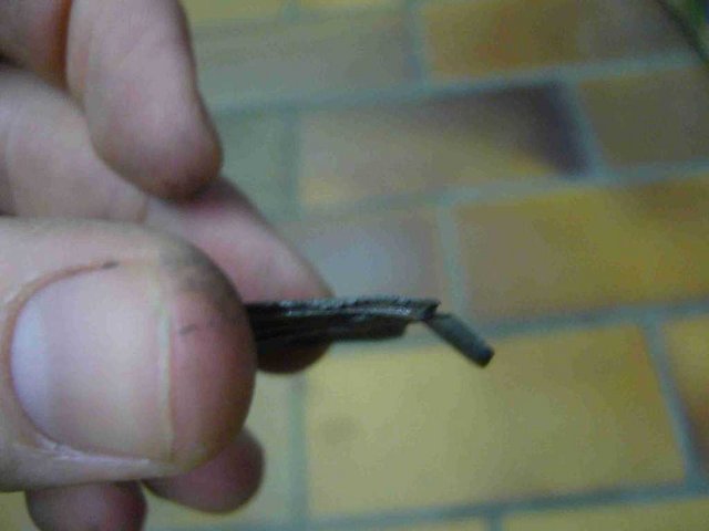 P1020347.JPG
