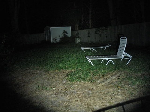 IMG_3556.jpg