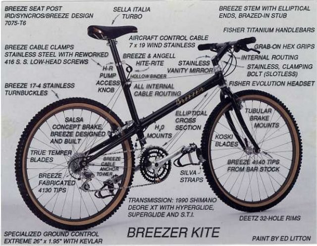 Kite_xlow-res.jpg