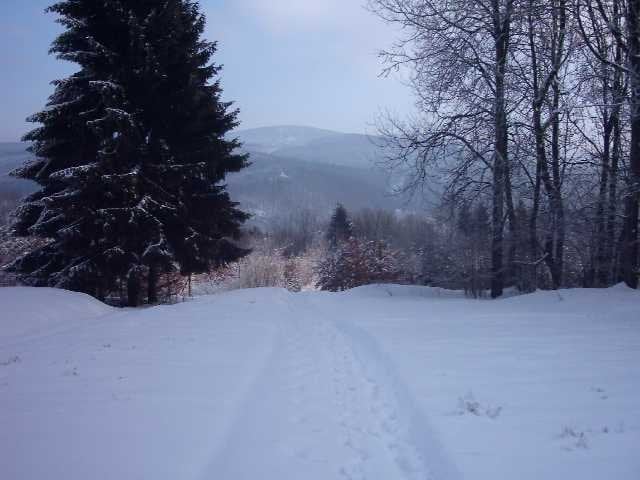 Kopie_von_IMAGE0061.JPG