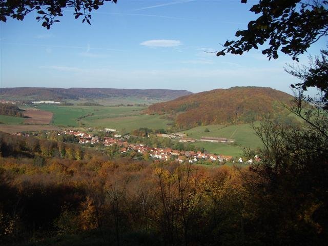 PICT0373_Small_.JPG