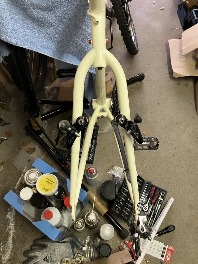 img_6558-jpeg.2257014