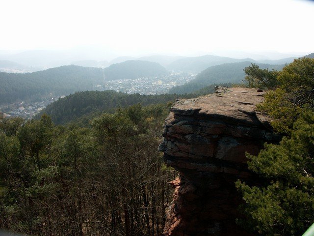 web_PICT0009.JPG