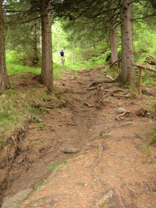 IMG_17611.jpg