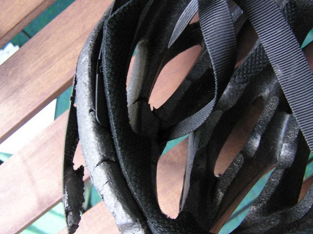 P1010030.JPG