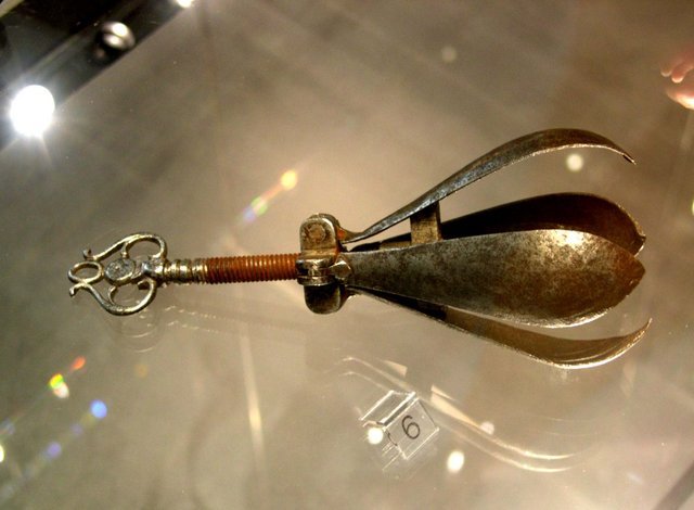 Oral_pear.jpg