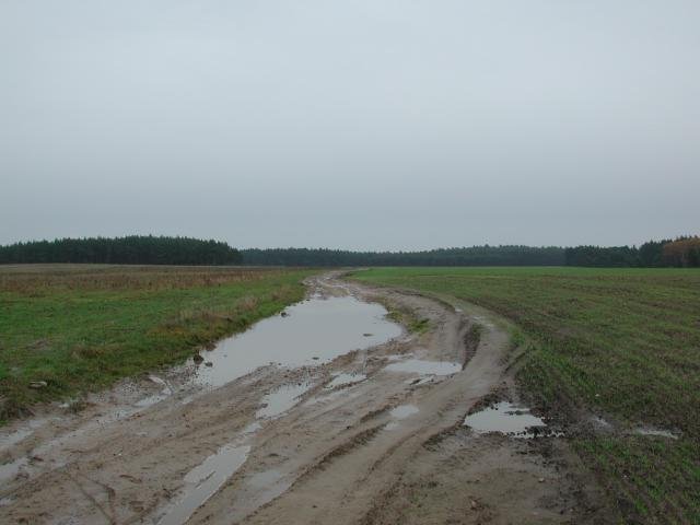 DSCN3101.jpg