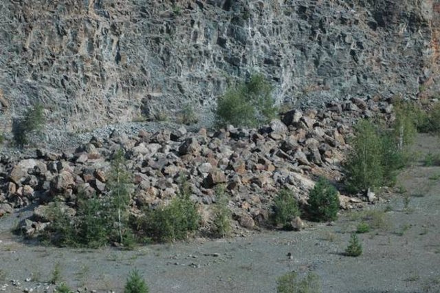 DSC_0835.JPG