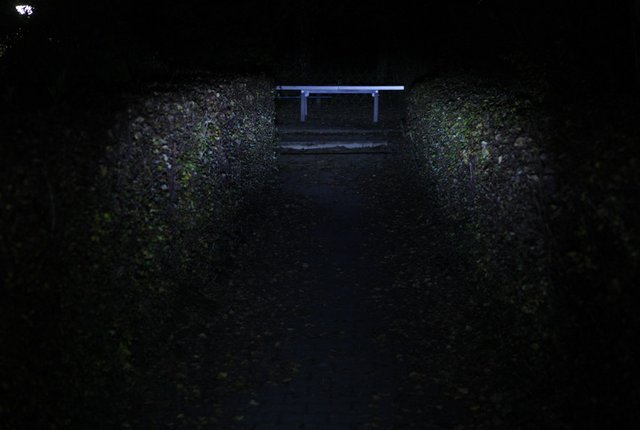 031111bummk.jpg