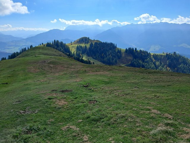 1000054348-jpg.2256527