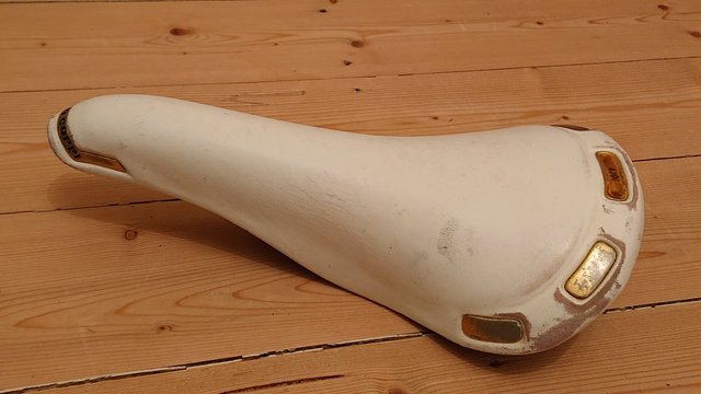 DSC_0319.JPG
