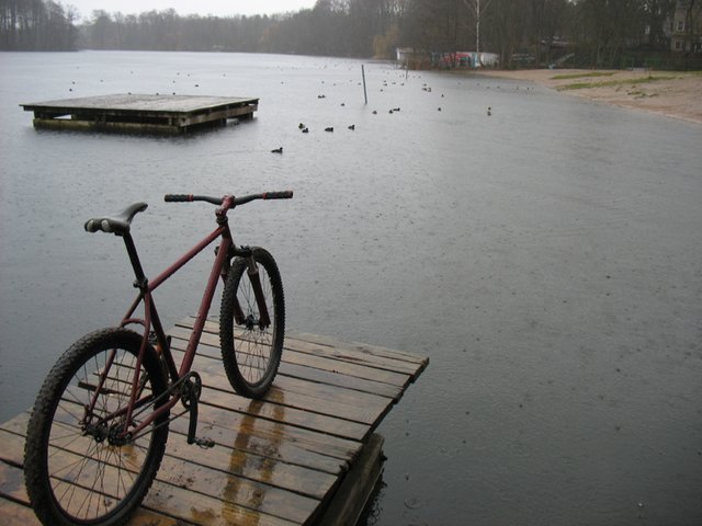 Bild_0711.jpg