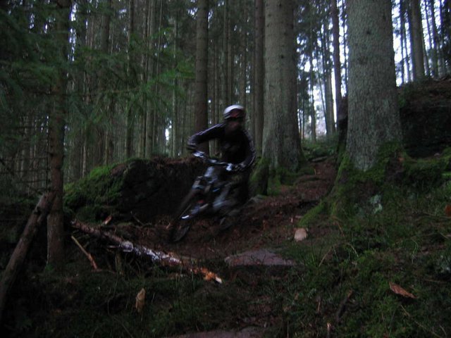 IMG_00416.JPG
