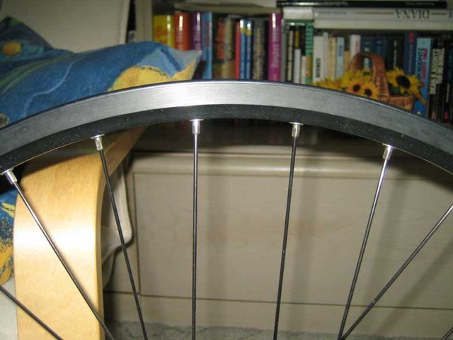 Bild-023.jpg