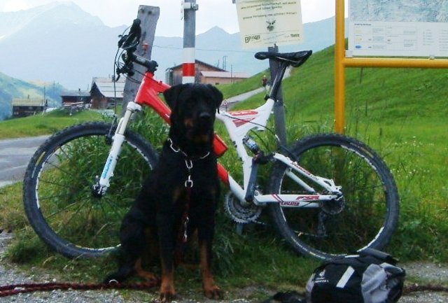 DSCF00342.JPG