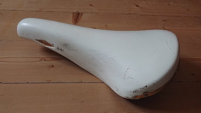 DSC_1699.JPG