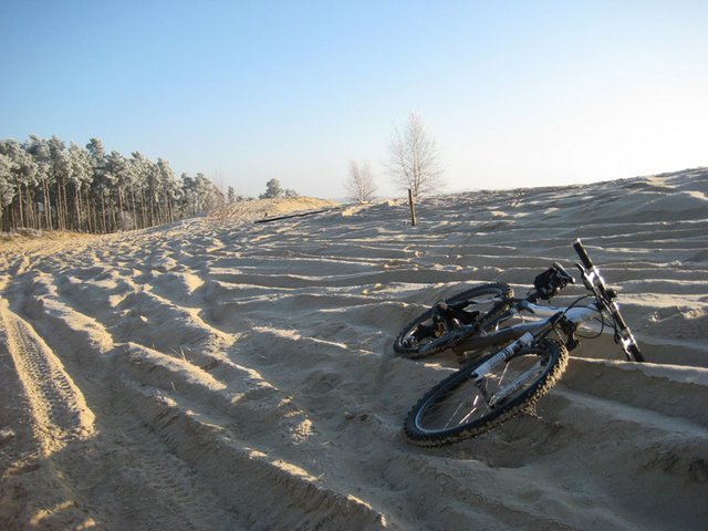 IMG_3271kl.jpg
