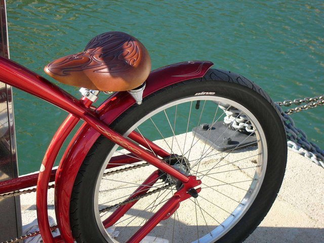 p1030419.jpg
