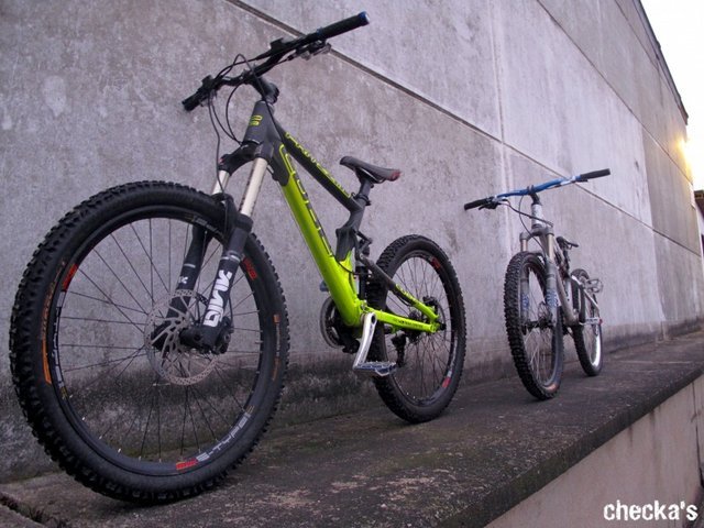 pbpic4499354.jpg