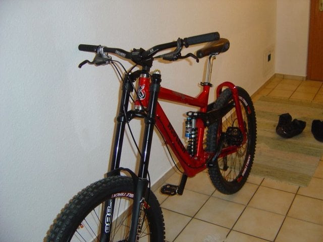 Wildsau3.jpg