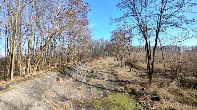 IMG_20250202_131145862_HDR.jpg
