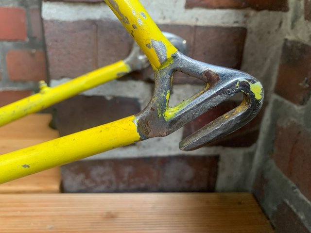 IMG_0301.jpeg