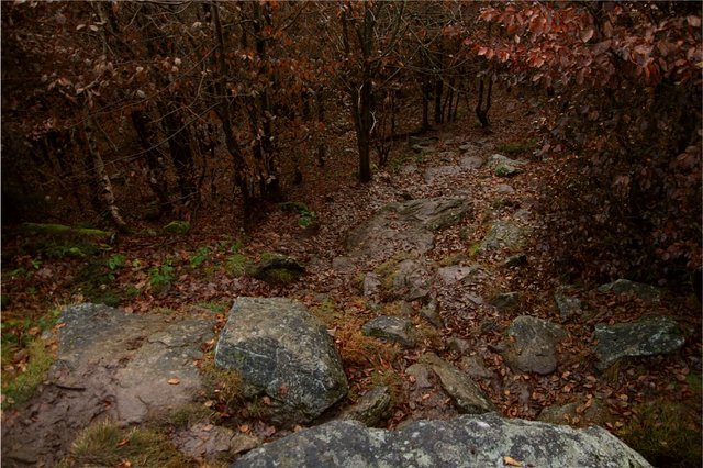h-stone13.jpg