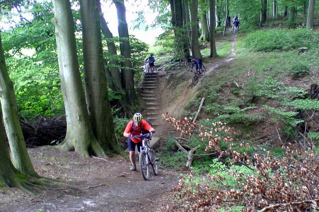 Deisterkreisel_08-2010.JPG