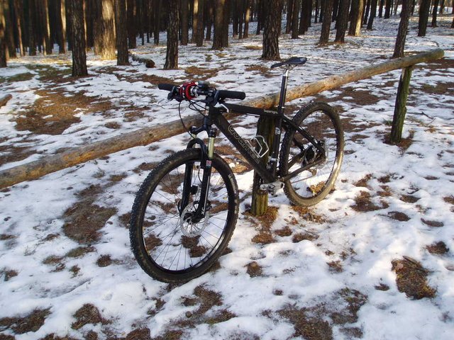 P1150393.JPG