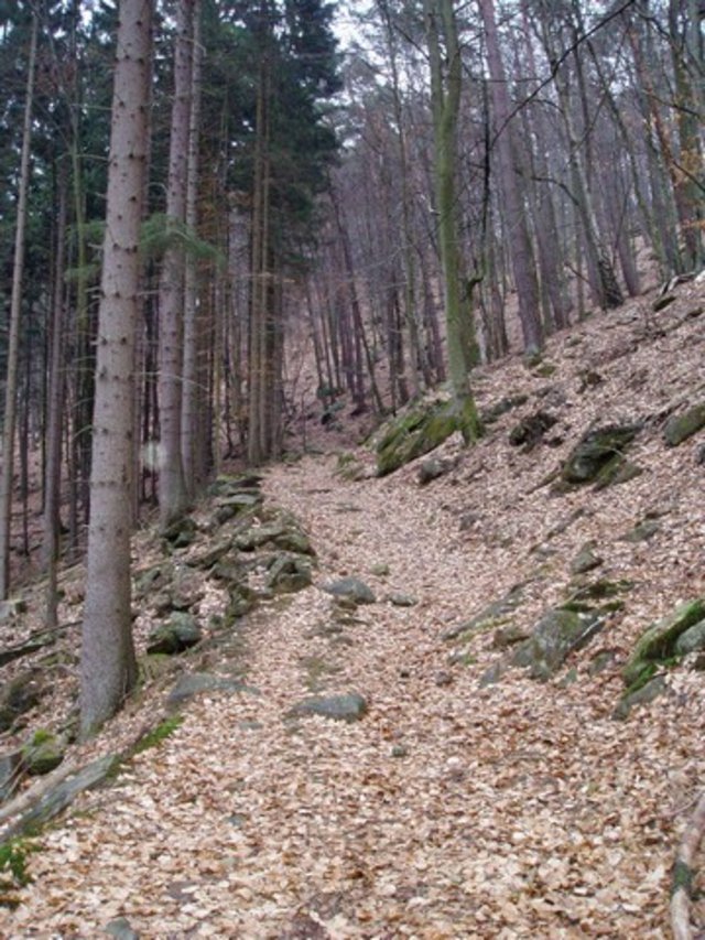 web_P2240106.JPG