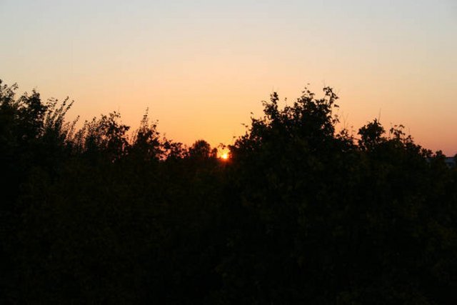 IMG_5321.JPG