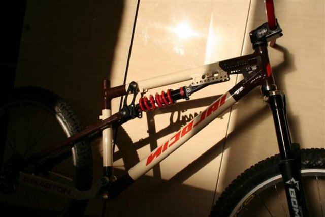 IMG_4305_Large_.JPG