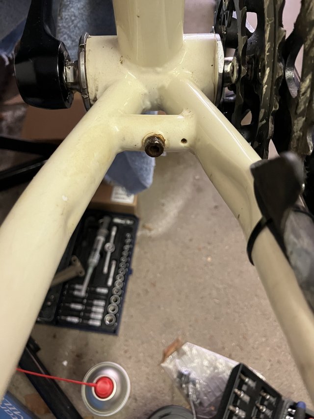 img_6560-jpeg.2257015