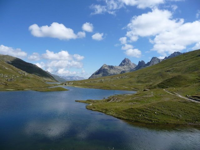 P1030196.jpg