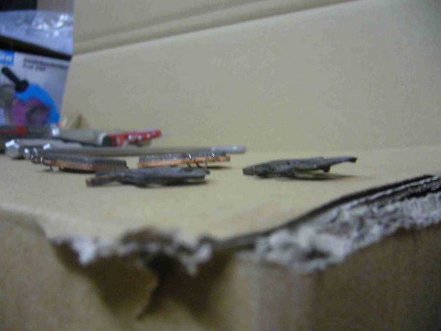 P1020346.JPG