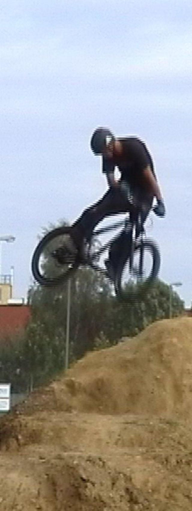 Whip_weit.jpg