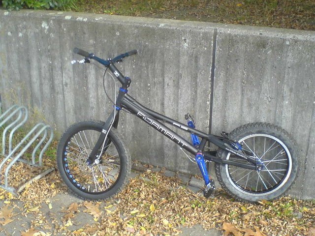 DSC003183.JPG