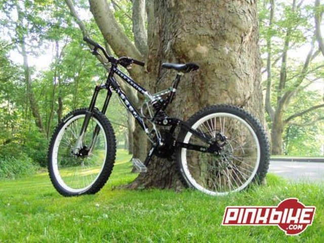 pbpic603509.jpg