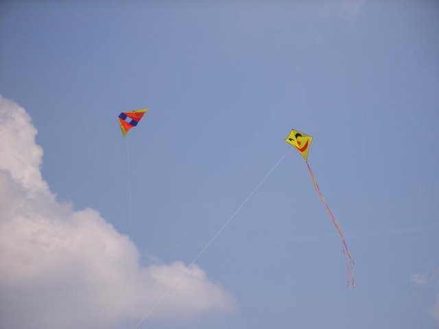 4892090.jpg