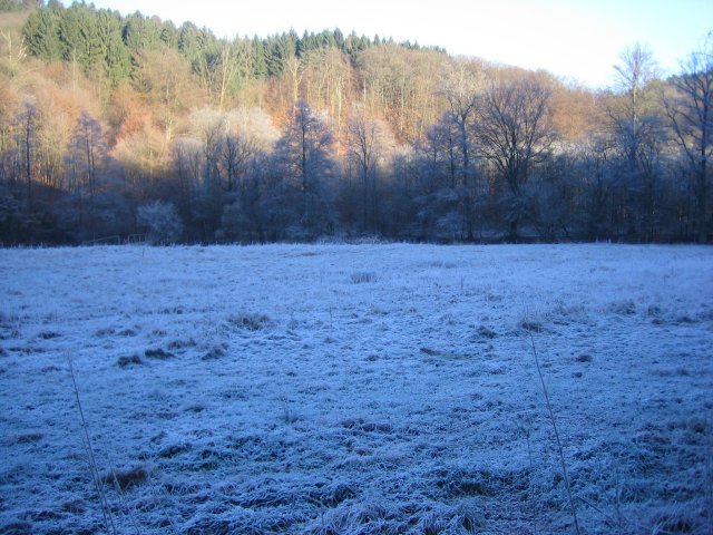 IMG_1075.jpg