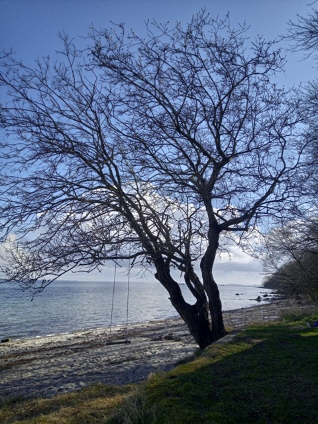 IMG-20220330-105713-6.jpg