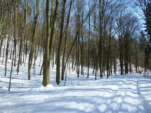 p1030339.jpg