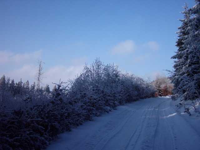 Kopie_von_IMAGE0057.JPG