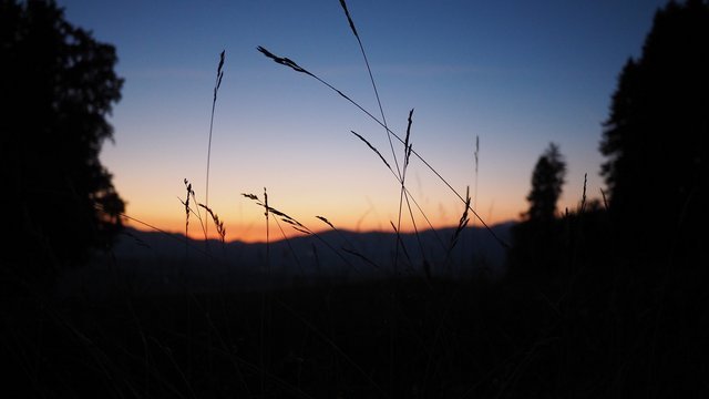 39118207771_3f235456c0_k.jpg