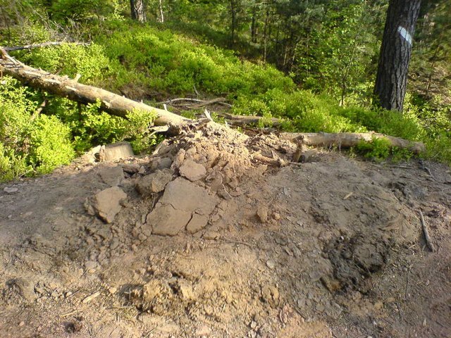 dsc001132.jpg