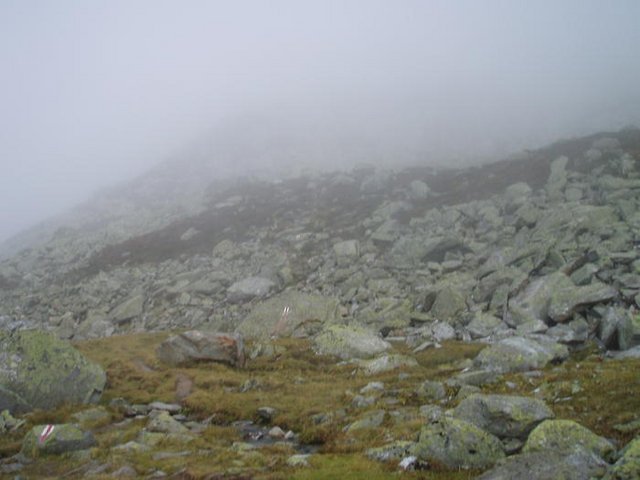 1348033.jpg