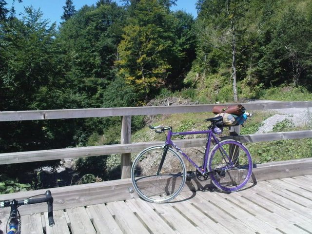 DSC00407-1.jpg